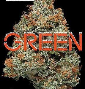green marijuana field guide book