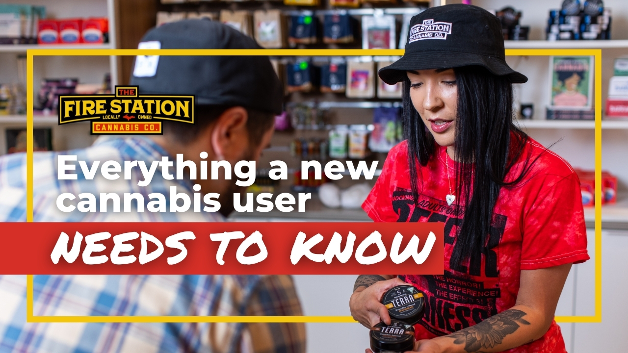 Everything a new cannabis user needs to know