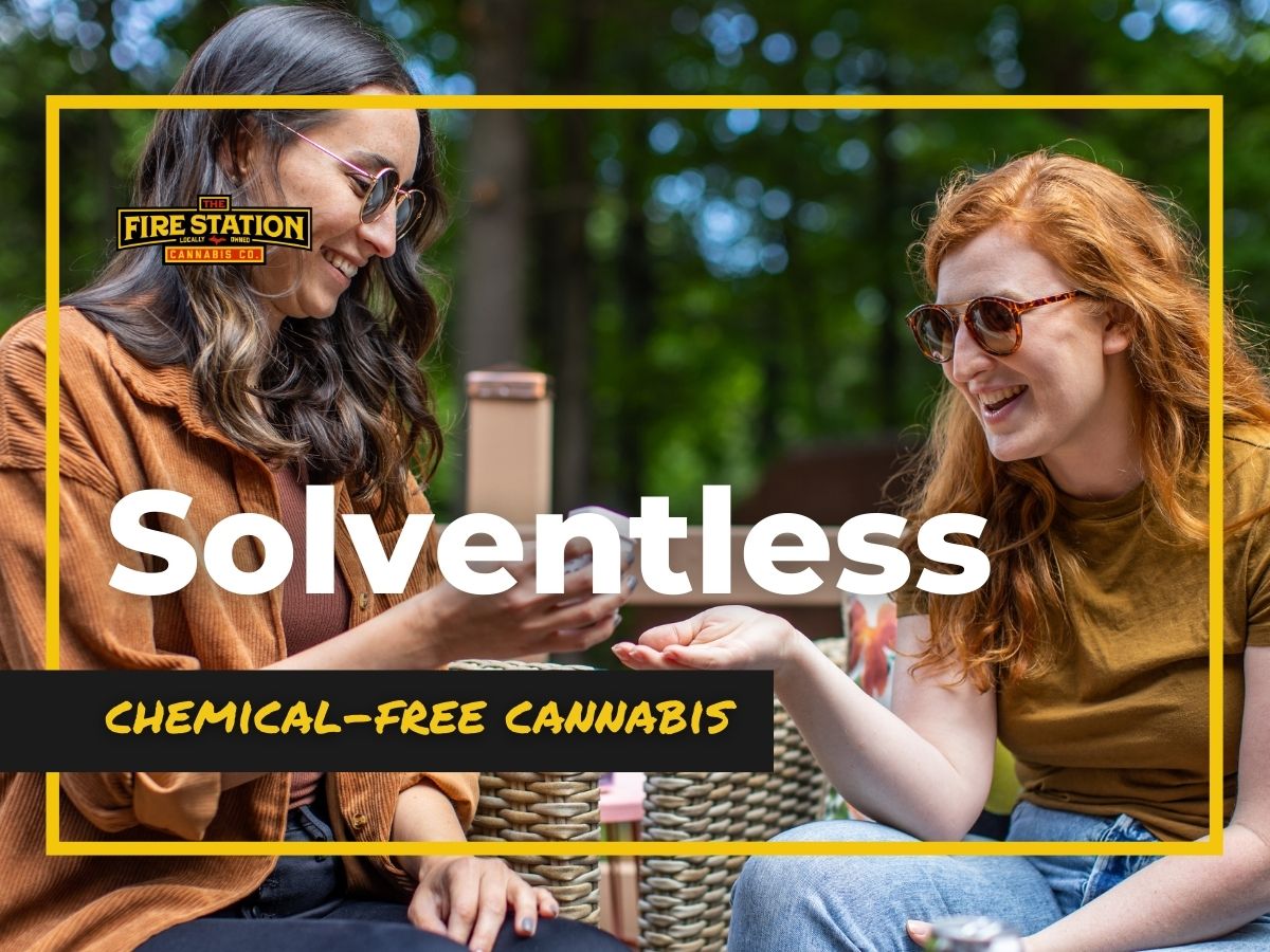 Solventless, Chemical-Free Cannabis