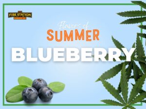 Flavors of Summer at The Fire Station Cannabis Company: Blueberry
