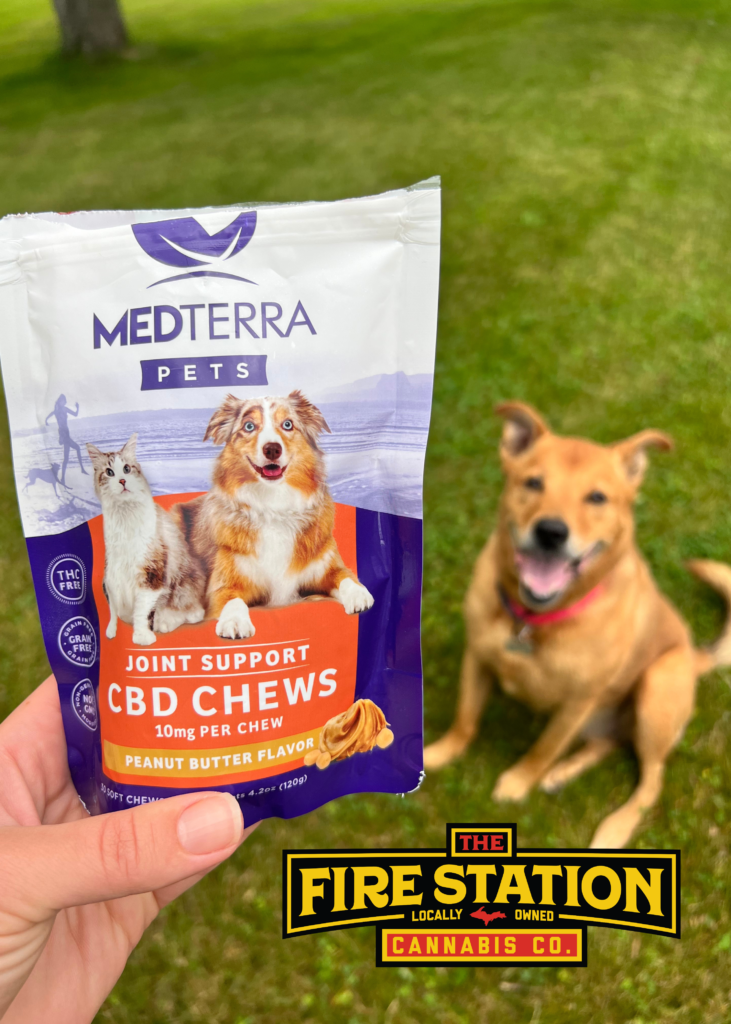 A Customer's Story: CBD for 9-Year-Old Dog