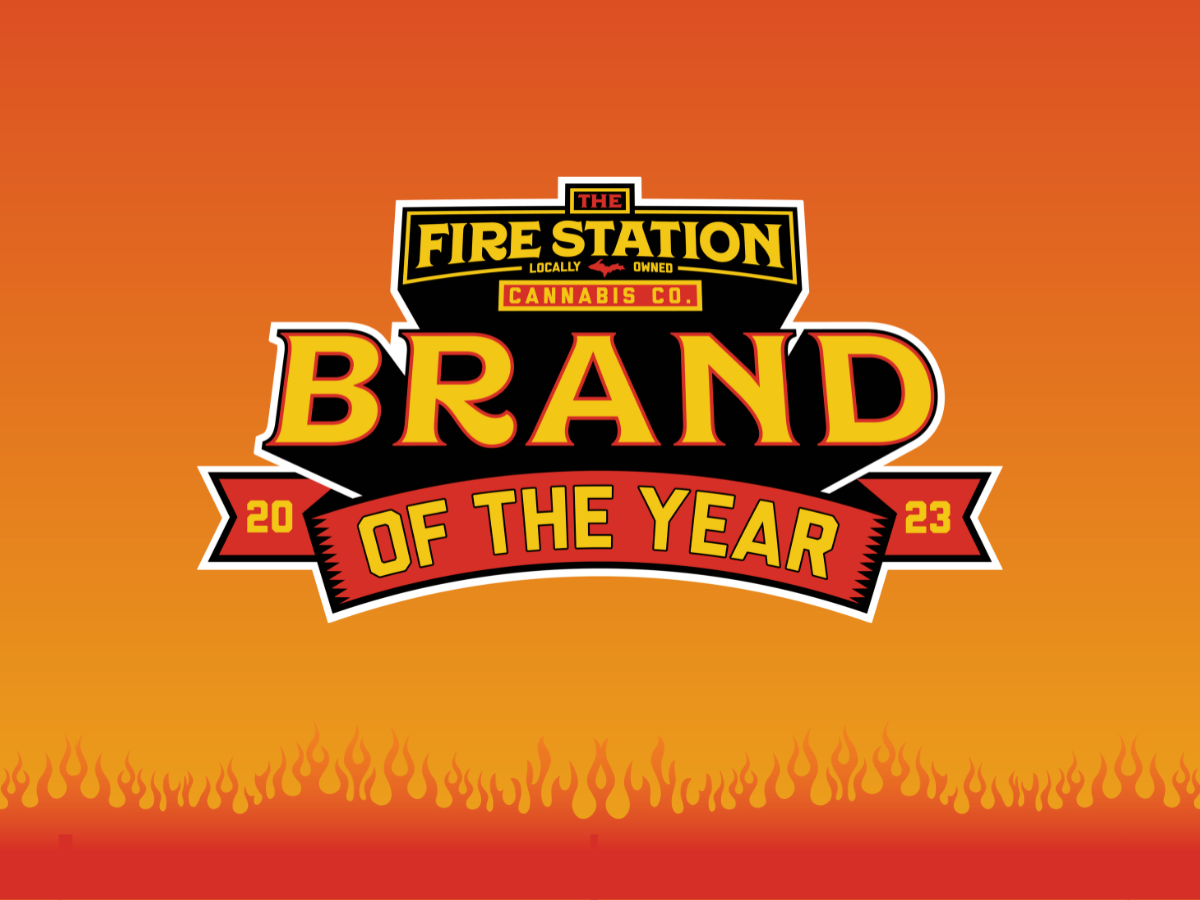 TFS brand of the year logo