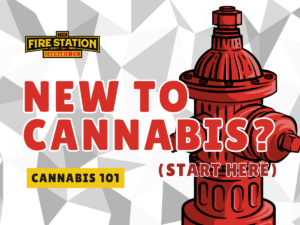 Everything a new cannabis user should know. Cannabis 101 with The Fire Station Cannabis Company