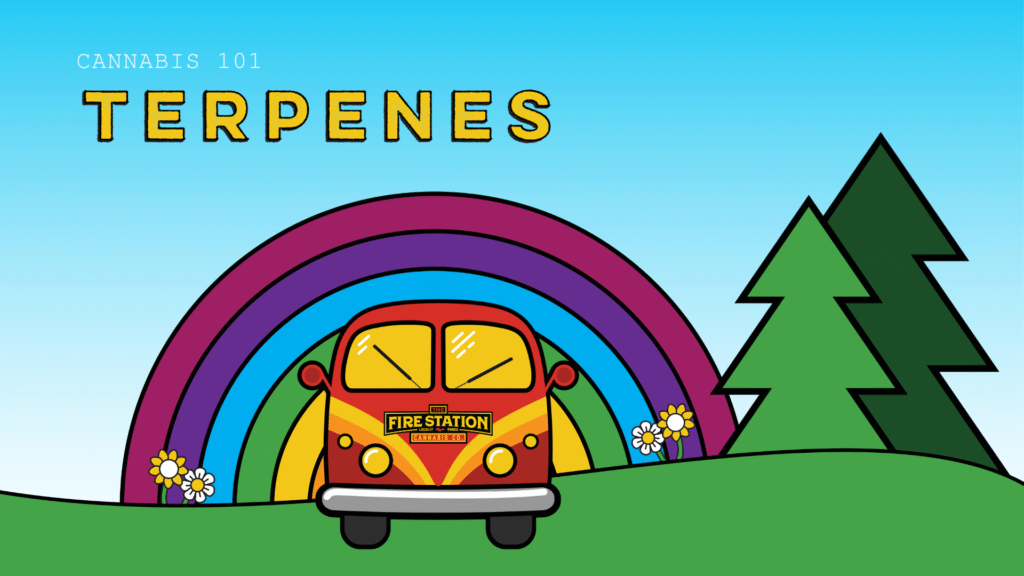 Learn more about terpenes with The Fire Station Cannabis Company's Spring 2025 Catalog.