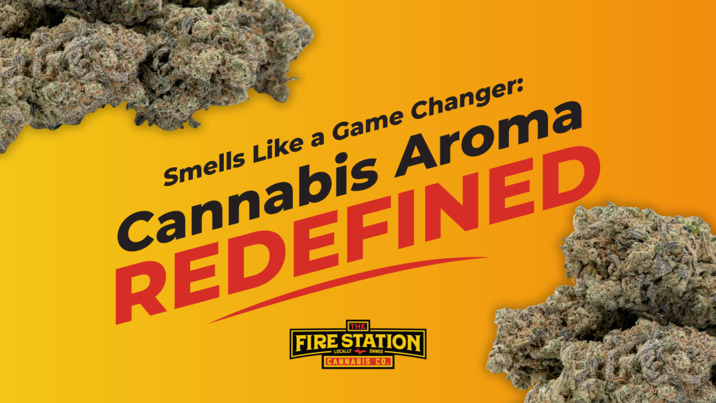 At this year’s 2025 Cannabis Collaboration Conference hosted by Northern Michigan University, our team at The Fire Station got hit with a scientific mic drop. During a plenary session titled "Deciphering the Complex Phytochemistry of Cannabis: From Plant to Extracts," Dr. Iain W. H. Oswald introduced research that flips the script on how we understand cannabis aroma. And yeah, it blew our collective minds.