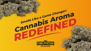 At this year’s 2025 Cannabis Collaboration Conference hosted by Northern Michigan University, our team at The Fire Station got hit with a scientific mic drop. During a plenary session titled "Deciphering the Complex Phytochemistry of Cannabis: From Plant to Extracts," Dr. Iain W. H. Oswald introduced research that flips the script on how we understand cannabis aroma. And yeah, it blew our collective minds.